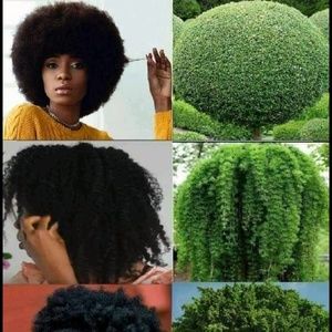 Meet your Posher, Gloria